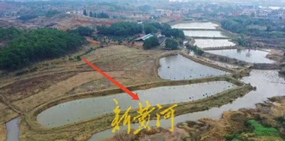 65歲農(nóng)婦荒塘養(yǎng)魚被判“非法占用農(nóng)地”：羈押10月后免刑<strong></p>
<p>宏鑫機(jī)械設(shè)備有限公司
</strong>，仍喊“我沒罪”:宏鑫機(jī)械設(shè)備有限公司
