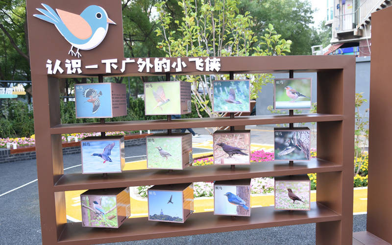 西城區(qū)廣外街道：“斷頭路”變身口袋公園<strong></p>
<p>宏鑫機(jī)械設(shè)備有限公司
</strong>，裝滿民生“微幸?！?宏鑫機(jī)械設(shè)備有限公司
