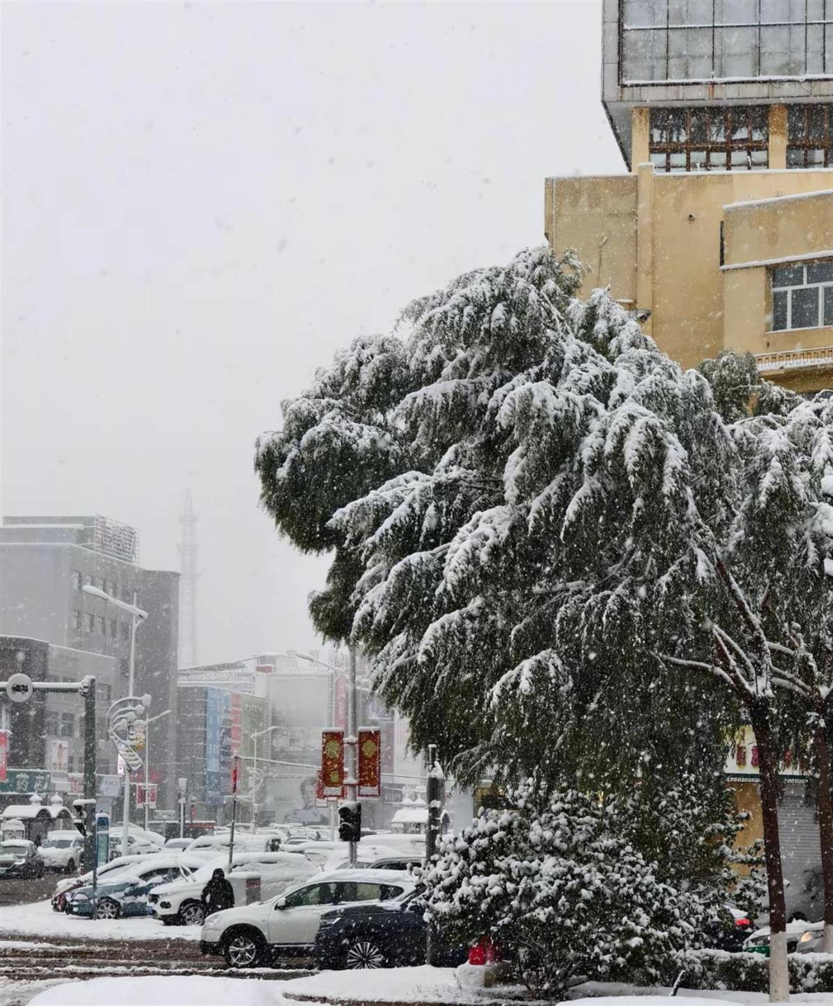 北方多地迎來第一場雪<strong></p>
<p>宏鑫機械設(shè)備有限公司
</strong>，黑龍江局地已出現(xiàn)暴雪，積雪深5厘米，氣象專家稱今年初雪略提前:宏鑫機械設(shè)備有限公司
