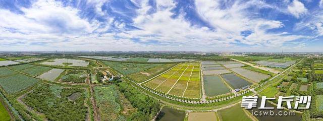 荒灘變綠洲 湖畔起樂園|一江碧水向東流:宏鑫機械設(shè)備有限公司