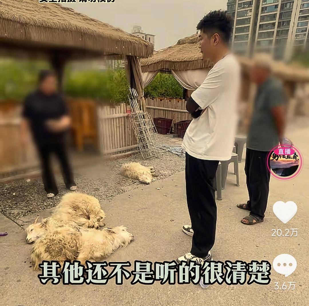 60斤活羊?qū)嶋H只有30多斤<strong></p>
<p>宏鑫機(jī)械設(shè)備有限公司
</strong>！博主打假重慶兩家烤全羊店獲“退一賠三”:宏鑫機(jī)械設(shè)備有限公司
