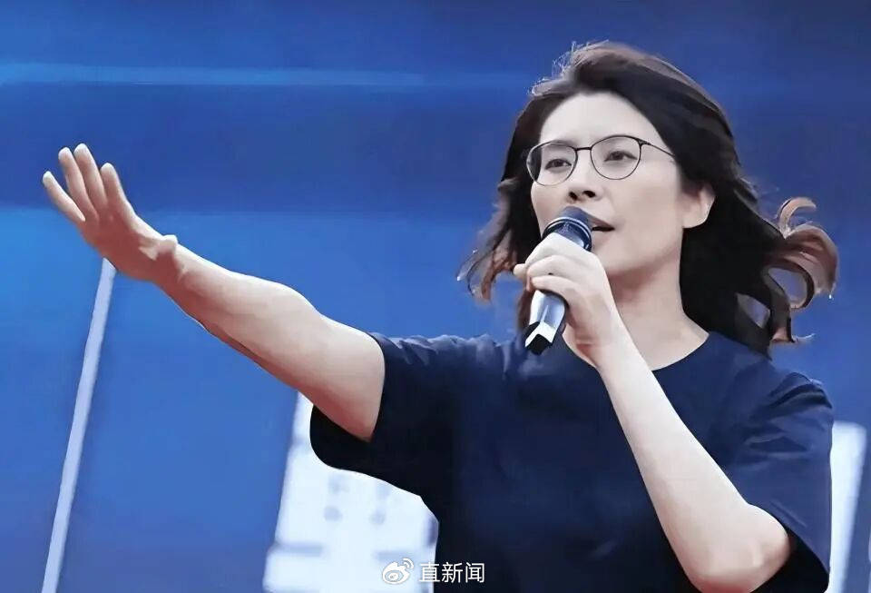鄭麗文接掌國民黨主席，盧秀燕棄選陷困，黨內(nèi)危機(jī)怎么解？:宏鑫機(jī)械設(shè)備有限公司
