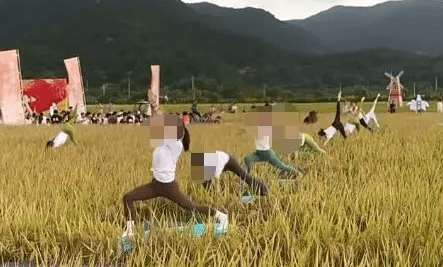 媒體：稻田開鐮儀式，表演哪門子瑜伽？:宏鑫機(jī)械設(shè)備有限公司
