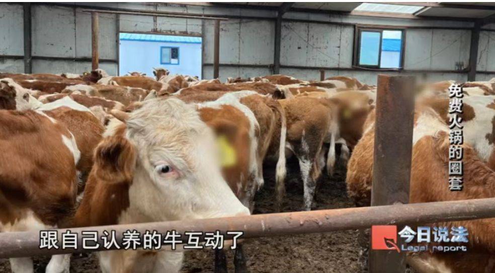 600多名老人被騙4200萬！詐騙公司以免費(fèi)吃火鍋為誘餌向老人推薦投資項(xiàng)目<strong></p>
<p>宏鑫機(jī)械設(shè)備有限公司
</strong>，稱年化收益率達(dá)50%！王某被判七年六個(gè)月:宏鑫機(jī)械設(shè)備有限公司
