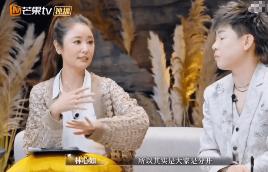 林心如談婚后相處模式，稱孕期沒(méi)有和霍建華一直在一起:宏鑫機(jī)械設(shè)備有限公司
