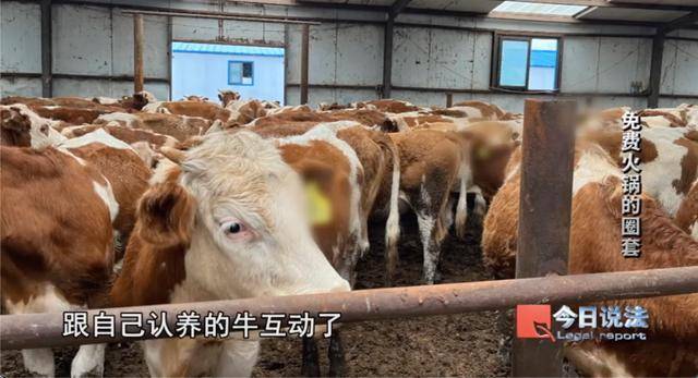 600多名大爺大媽吃了免費(fèi)火鍋后，被騙約4200萬(wàn)元:宏鑫機(jī)械設(shè)備有限公司
